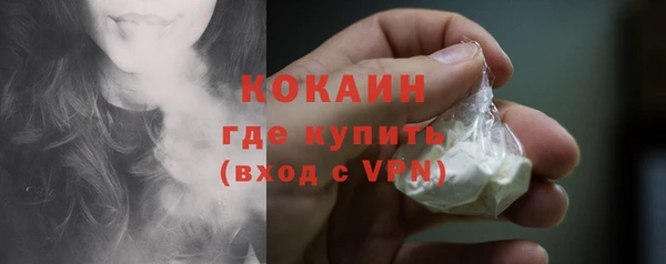 шишки Нязепетровск