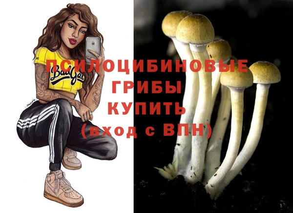 прущая мука Аркадак